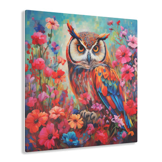 Ever Watchful Owl