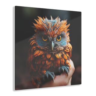 Mini Vibrant Owl
